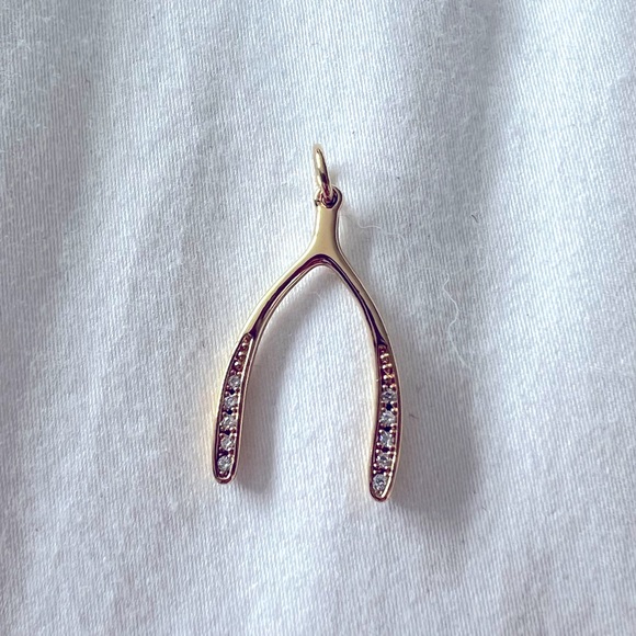 Stella & Dot good wishbone charm - new in box. - Picture 2 of 4